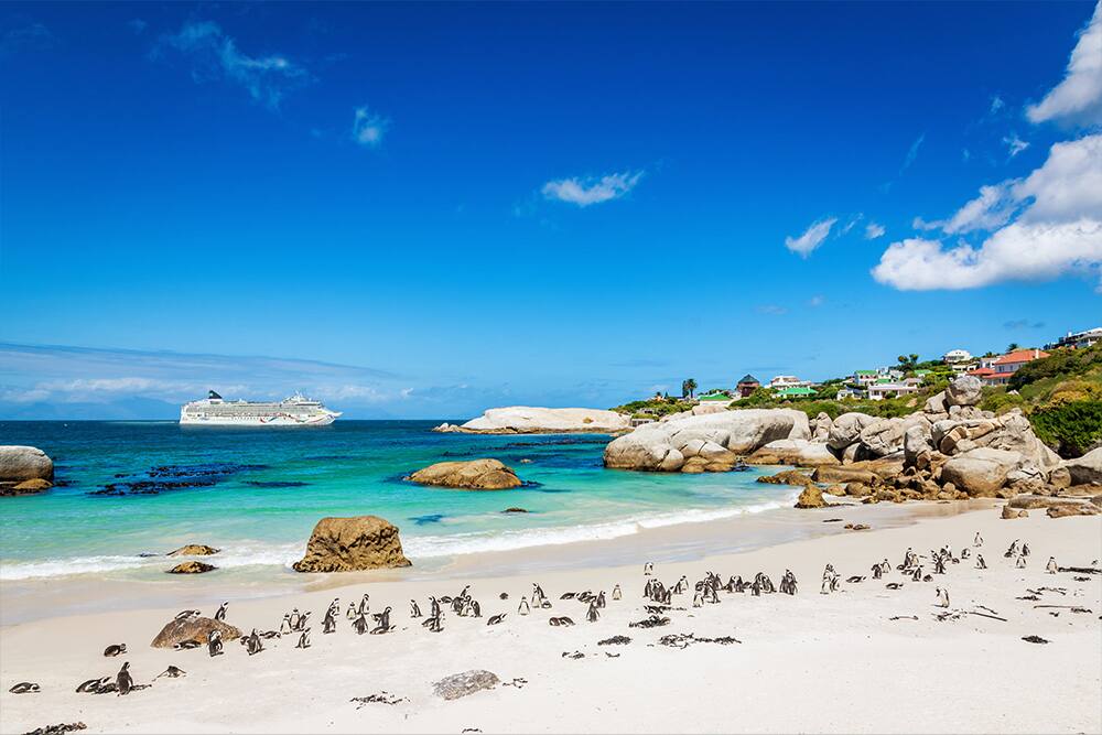 Norwergian Dawn near Boulder Beach, Cape Town, South Africa