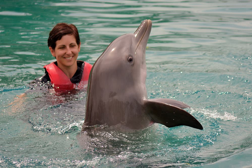 Tourist swimming with dolphins