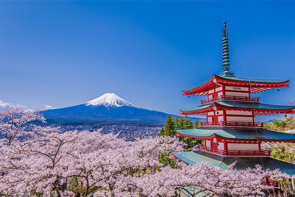 Explore Mount Fuji & Japan