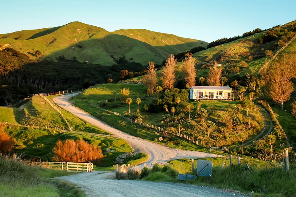 New Zealand farmland