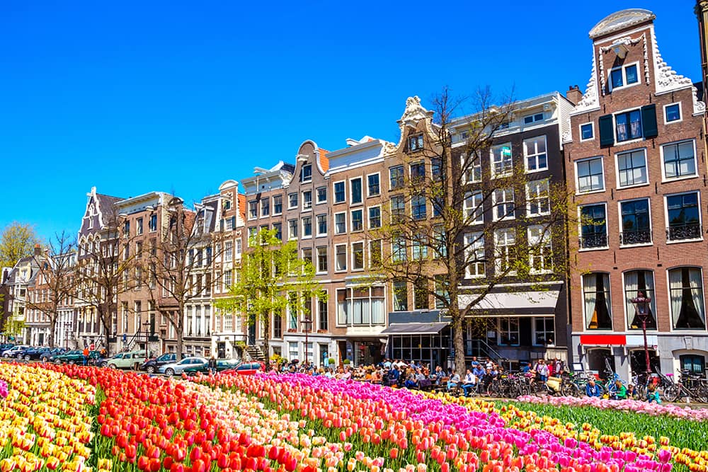 Celebrate King's Day in Amsterdam