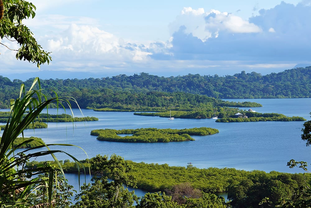 Norwegian cruise sailing through the Panama Canal