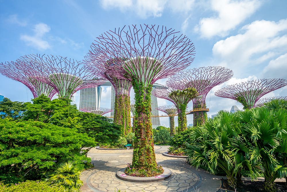 Gardens by the Bay in Singapore