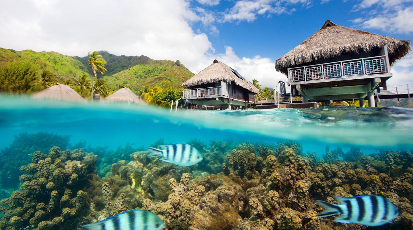 Moorea, French Polynesia