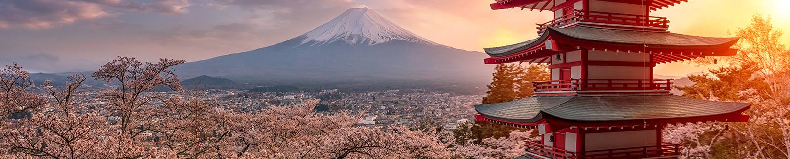 MI.cruises.Japan