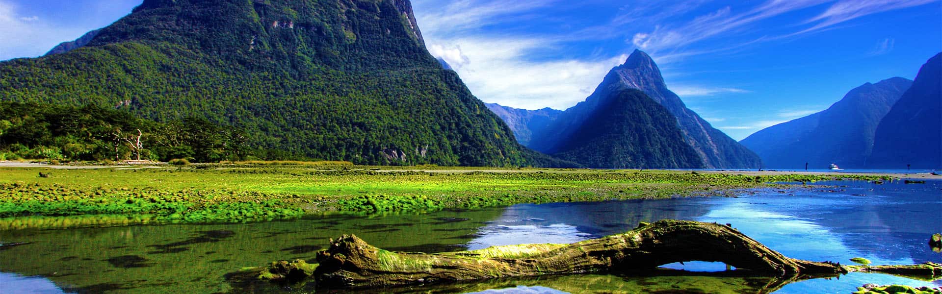 Australia & New Zealand: Melbourne, Milford Sound & Wellington