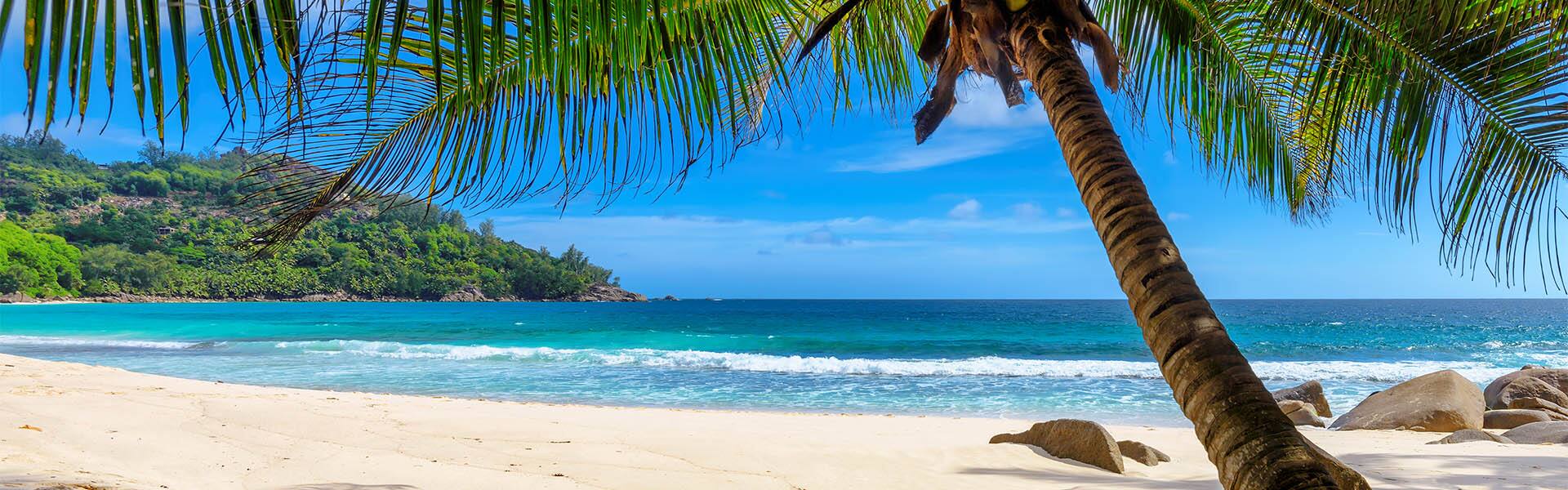 Caribbean: Harvest Caye, Cozumel & Roatan