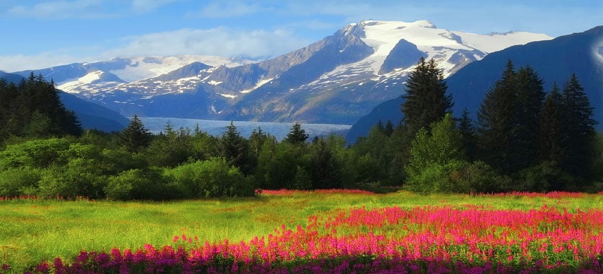 10-Day Alaska from San Diego to Vancouver: Glacier Bay & Juneau