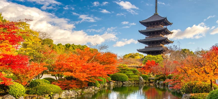 14-Day Asia: Immersive Japan from Tokyo (Yokohama)