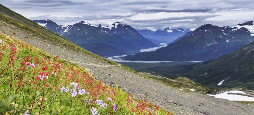 /sites/default/files/881x40-AK-Fairbanks-flowerMountain.jpg
