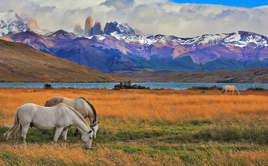 Torres Del Paine National Park