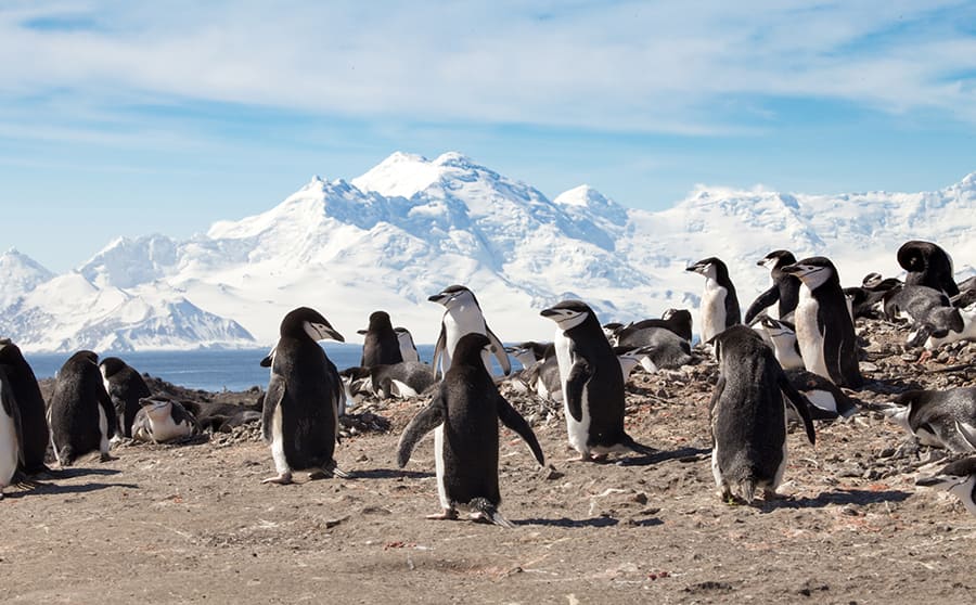 Deception Island, Antarctica