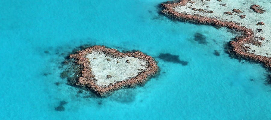 Heart reef on your Airlie Beach Cruise
