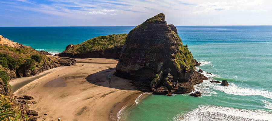 Piha Beach on a cruise to Auckland