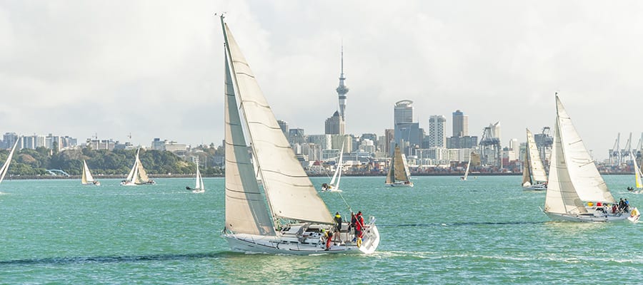 Yachts racing in auckland harbour