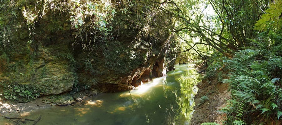 Waitomo Glowworm Caves on Cruises to Auckland