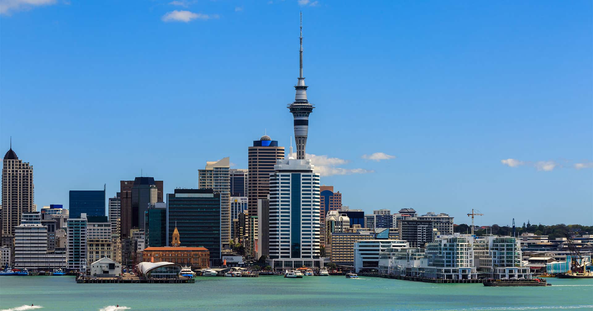 Auckland Sights With Transfer