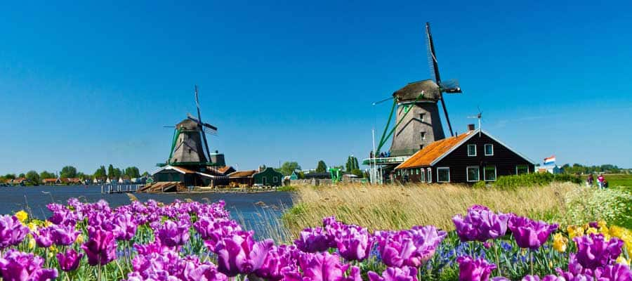 Windmills of Amsterdam