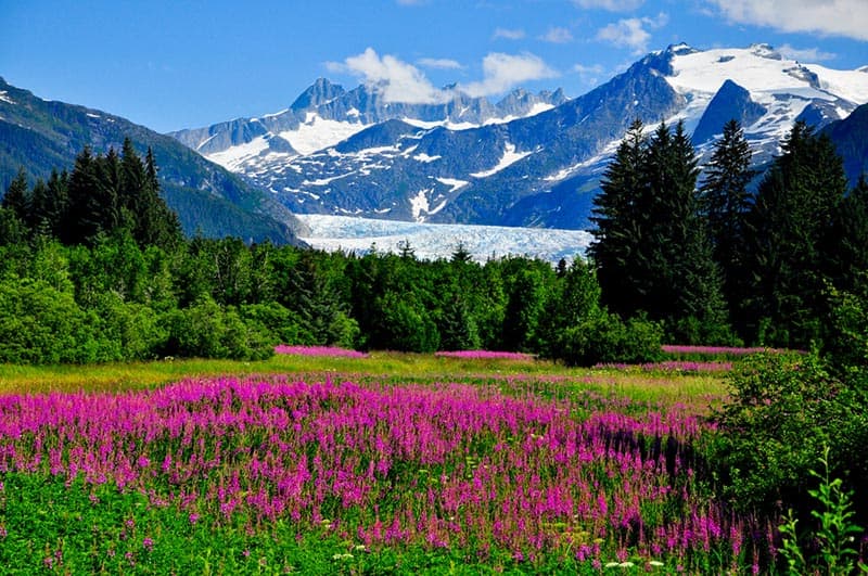 Top Cruises for Seniors & Retirees: Alaska