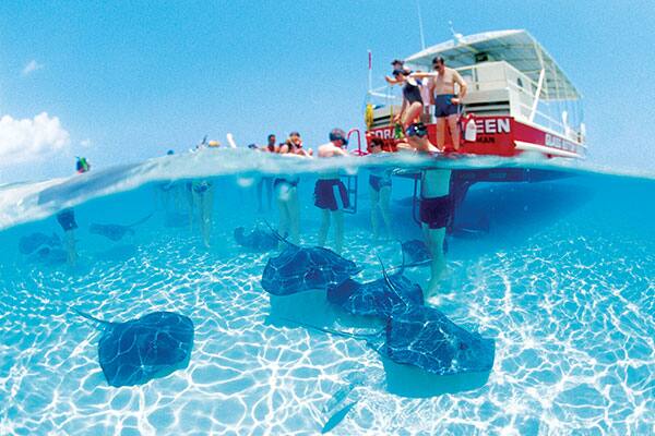 Stay active while cruising with an exciting Shore Excursion like swimming with the rays