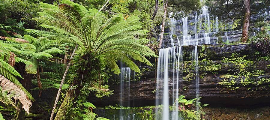 Tasmania Mt. Field national park on a Burnie Cruise