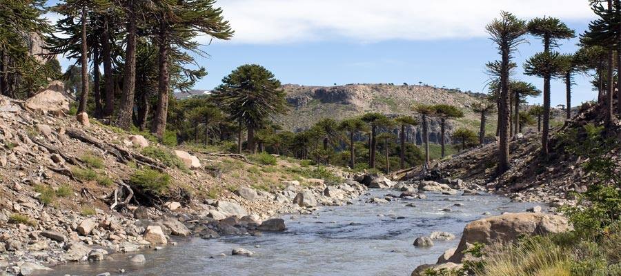 Puerto Chacabuco cruises