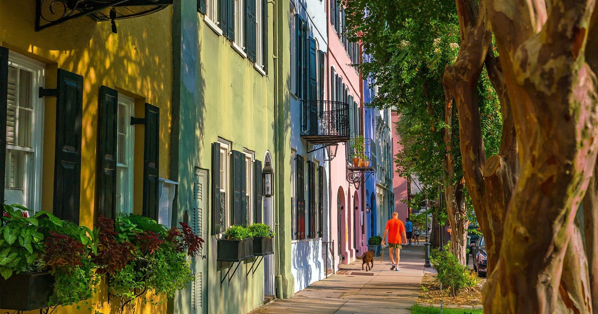 Historic Charleston City Tour