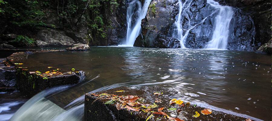 Rainforest waterfall on a Cruise to Cairns