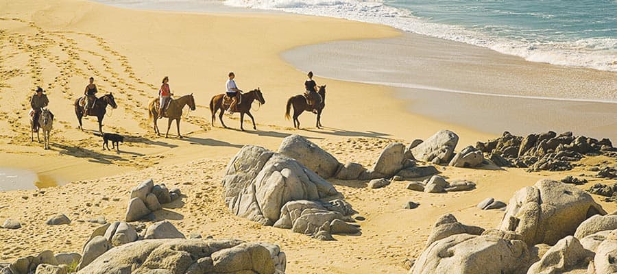 Cabo San Lucas on Horseback