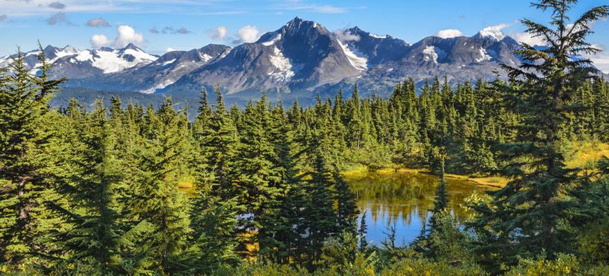 /sites/default/files/CT-AK-Seward-Homer-Trees-Mountain-881x400.jpg
