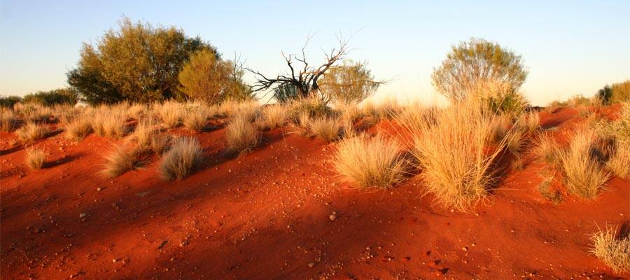 Red Sand on your Cruise to Darwin