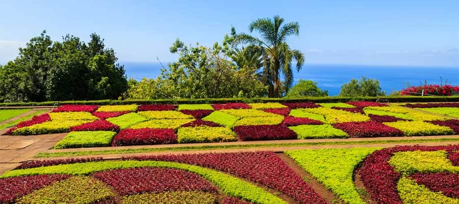 Visit the Funchal Gardens while in Portugal on your Transatlantic cruise