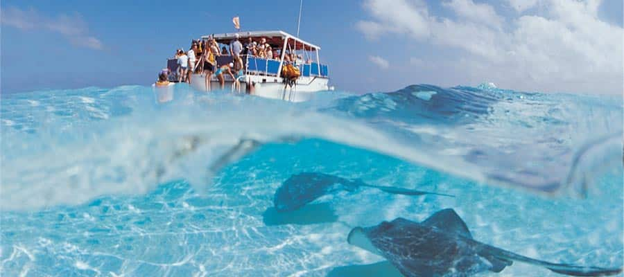 Stringray City Sandbar on your George Town cruise