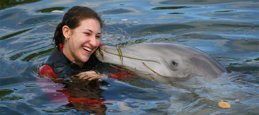 Swim with dolphins when you cruise to the Caribbean