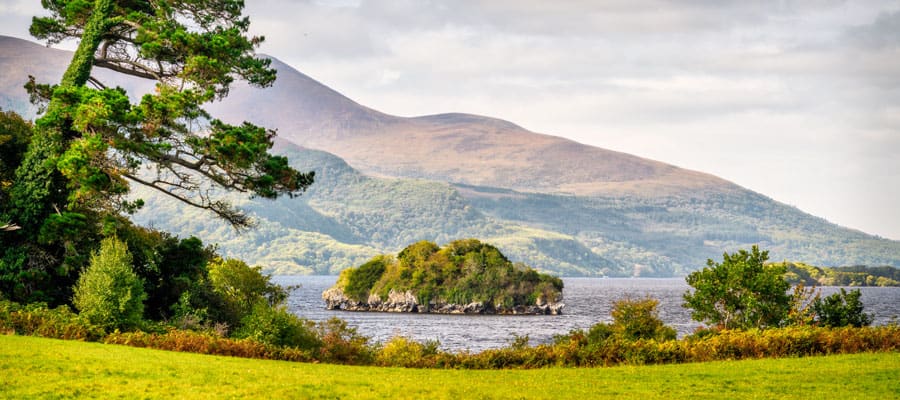 Take in the scenery and explore the ruins in Muckross Park. 