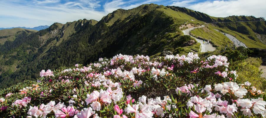 Go to the top of a mountain to get a better view of the picturesque landscape. 