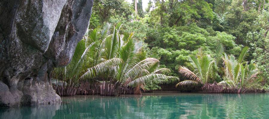 Adventure through the jungle in Palawan. 