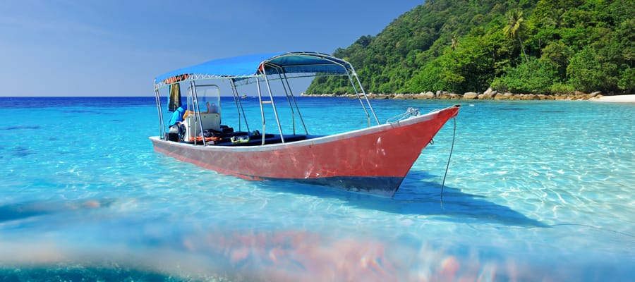 See the whole island on a boat tour or snorkel through a coral reef. 