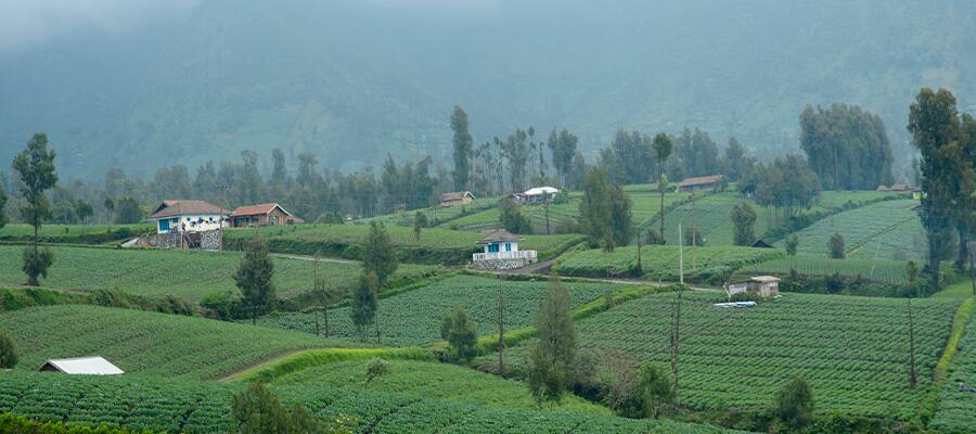Probolinggo, Indonesia