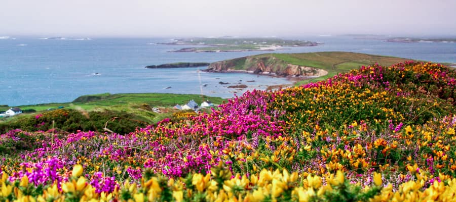 Enjoy a guided tour of the colorful countryside outside Galway.