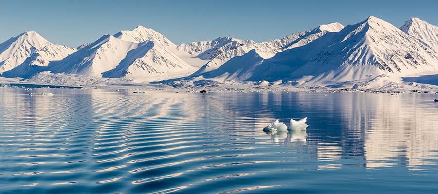 Visit stunning Forlandet National Park, which encompasses the entire island 