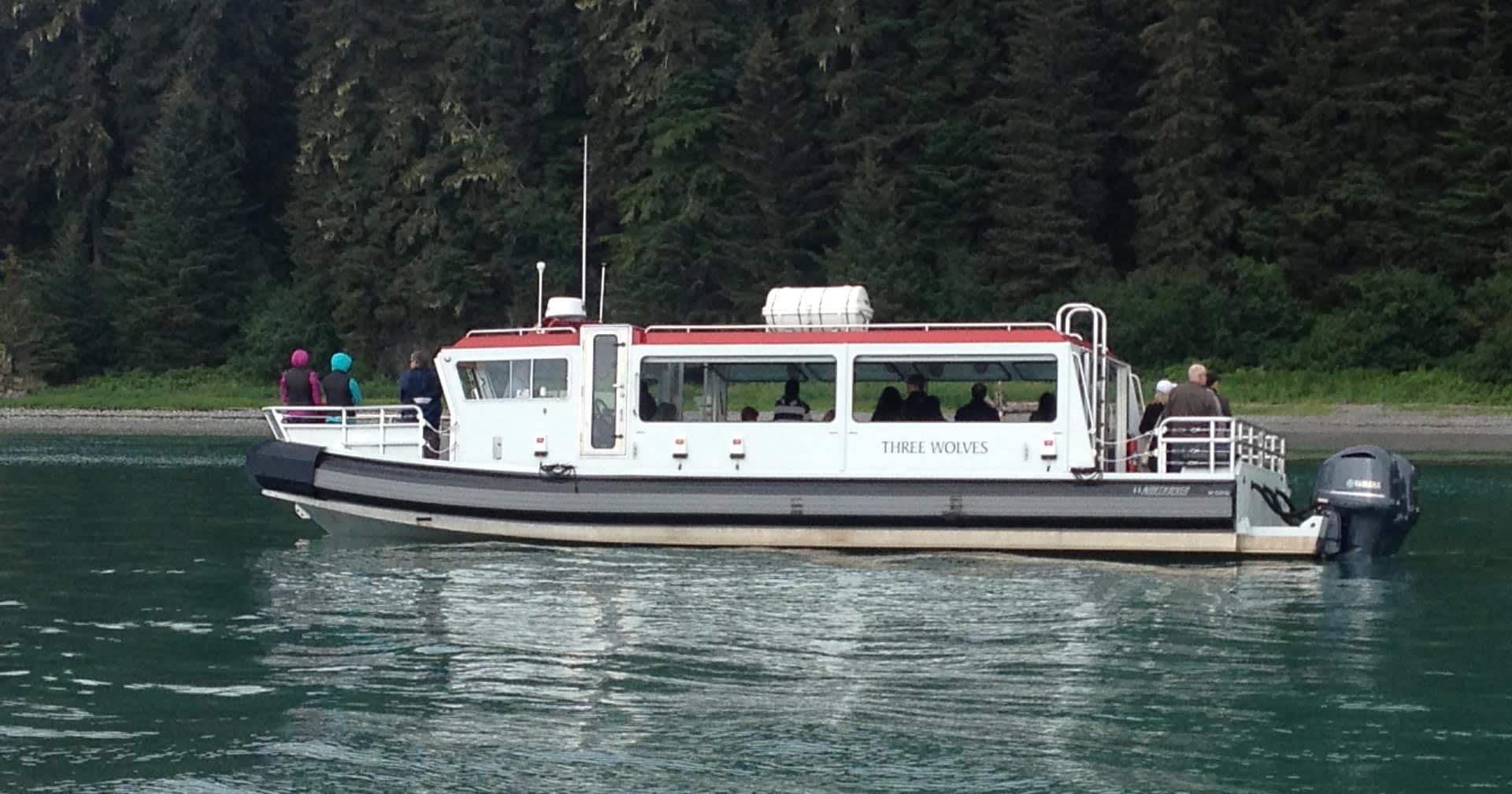 Whale Watching & Seafood Fest