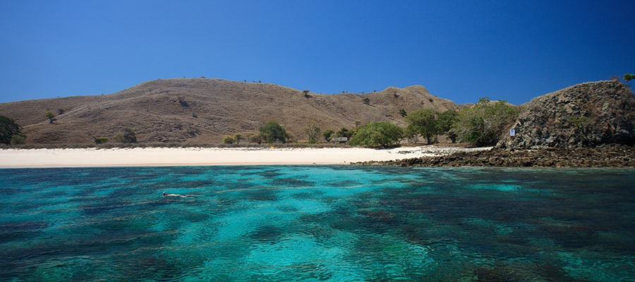 Pink Beach on Komodo Cruises