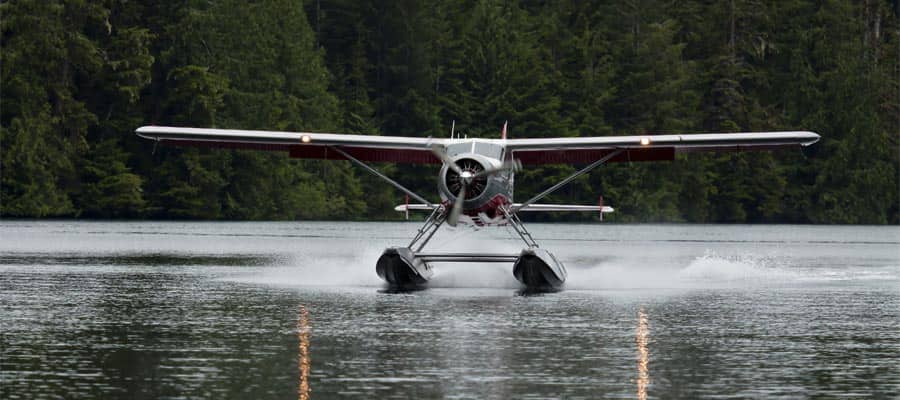 See Alaska on a Sea Plane on your cruise vacation