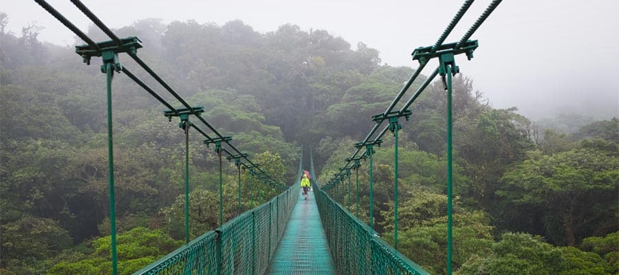 Walk the Monteverde Hanging Bridge on your Panama Canal cruise