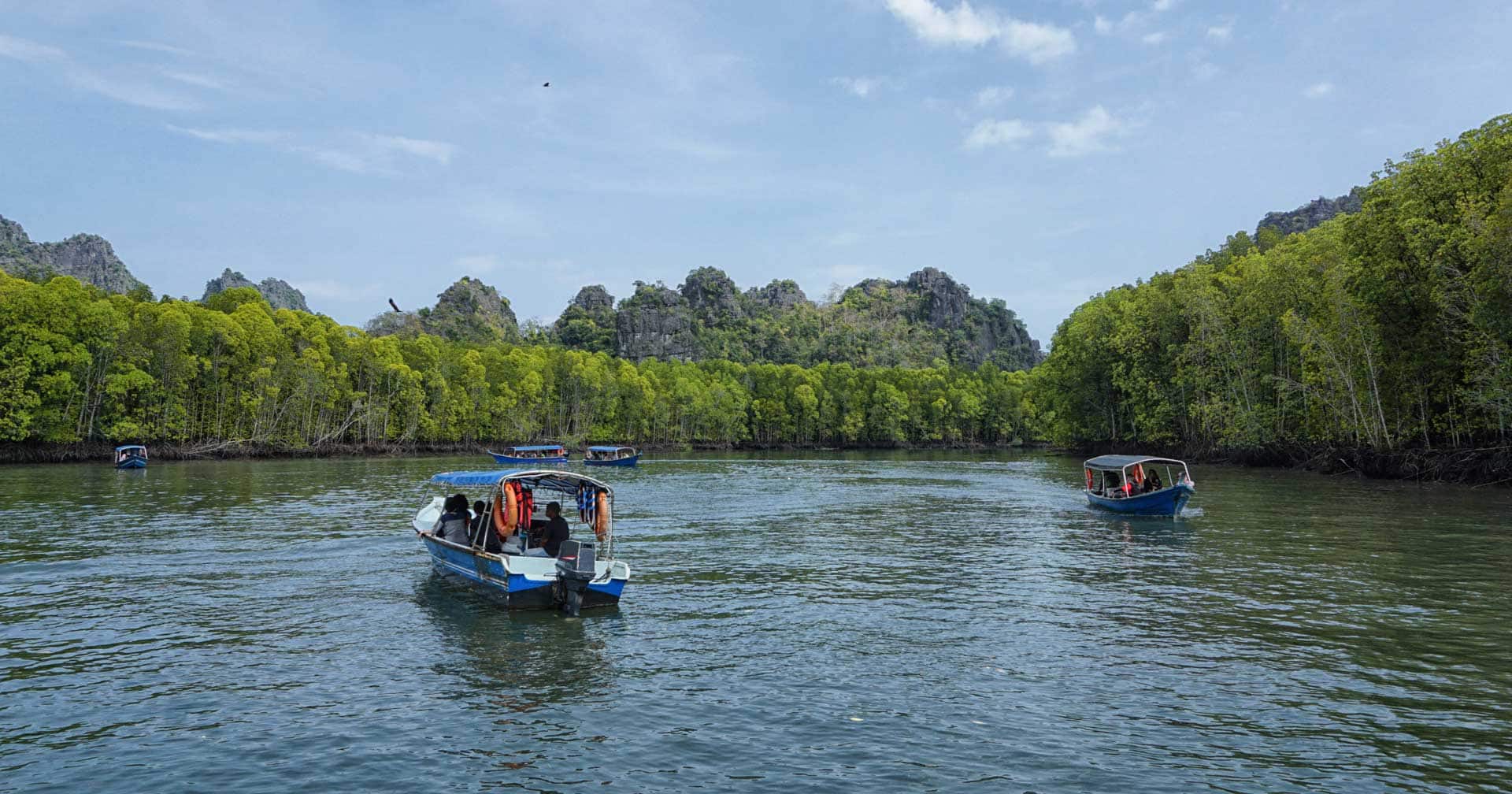 Cave & Mangrove Adventure