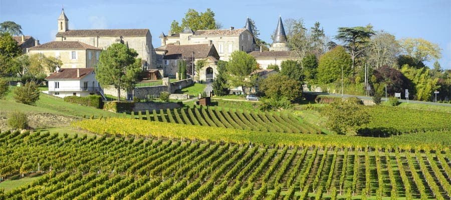 Vineyards of Saint Emilion in Bordeaux