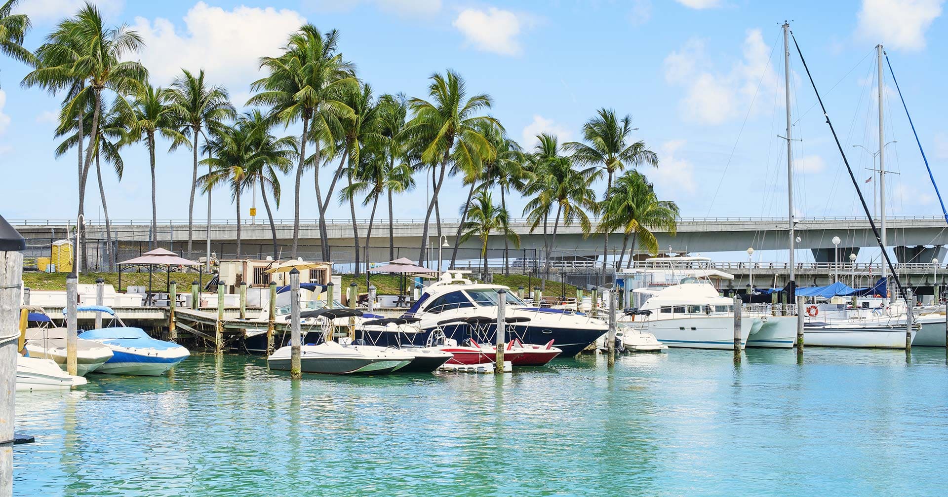 Miami Hop On Hop Off – Ends At Miami Airport 