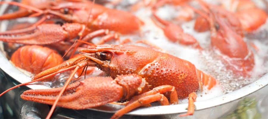 Try a crawfish boil on your New Orleans cruise