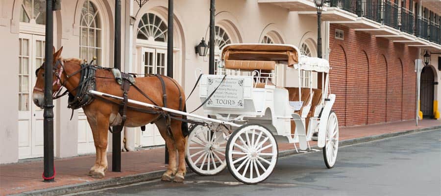 Travel on a horse drawn carriage on your New Orleans cruise
